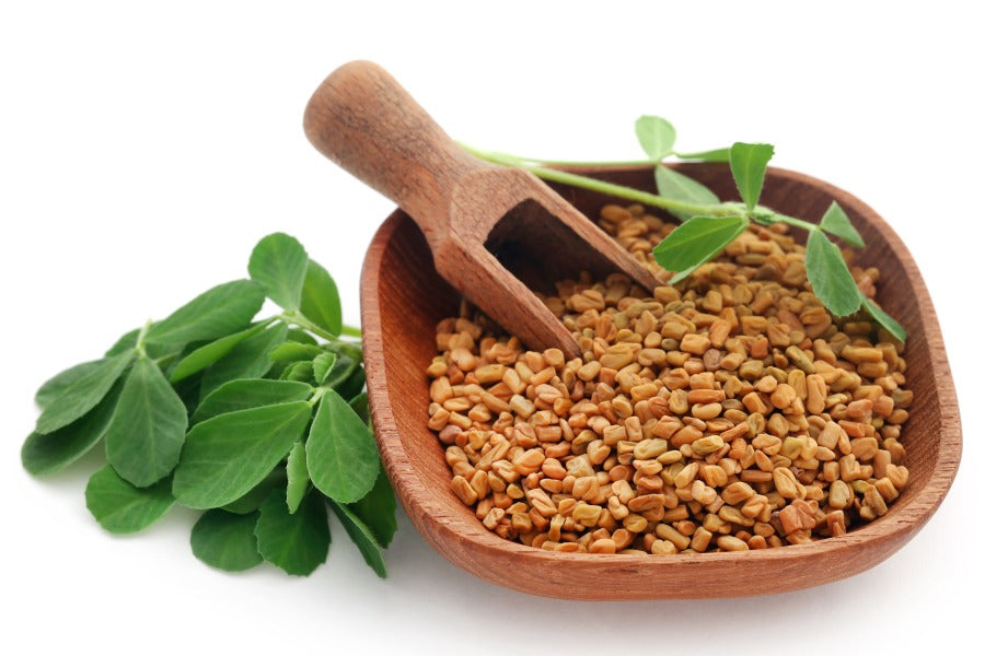 Is Fenugreek Good for Hair 10 Benefits of Fenugreek Seeds for Hair