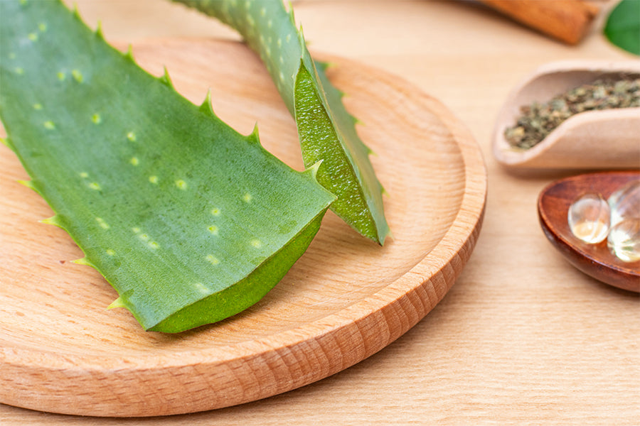 Aloe Vera for Face: Benefits, Uses, and FAQs | Expert Guide  Saturn by GHC