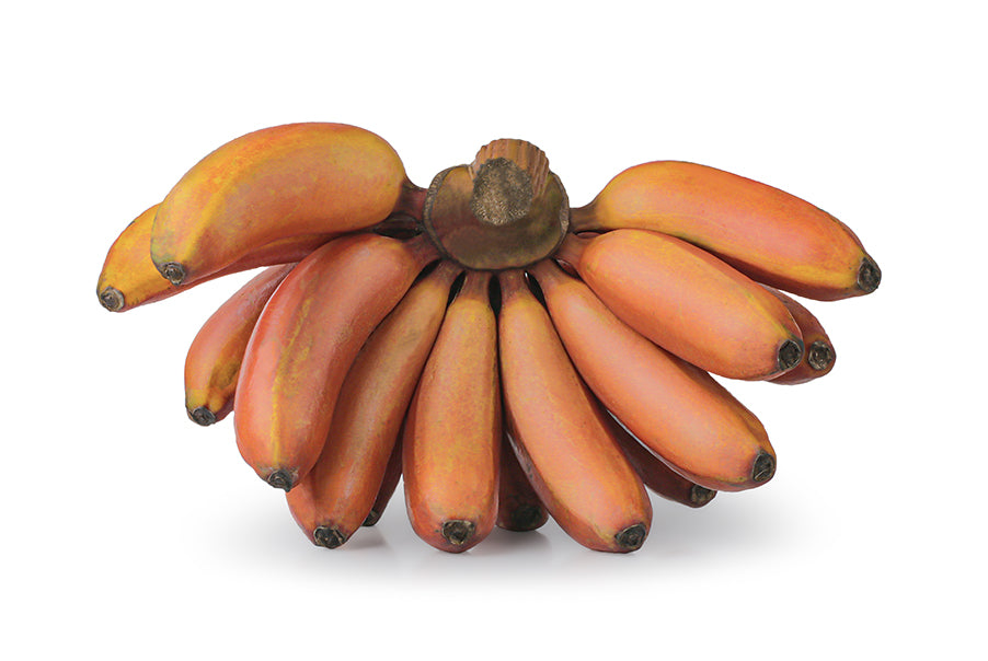 red banana fruit