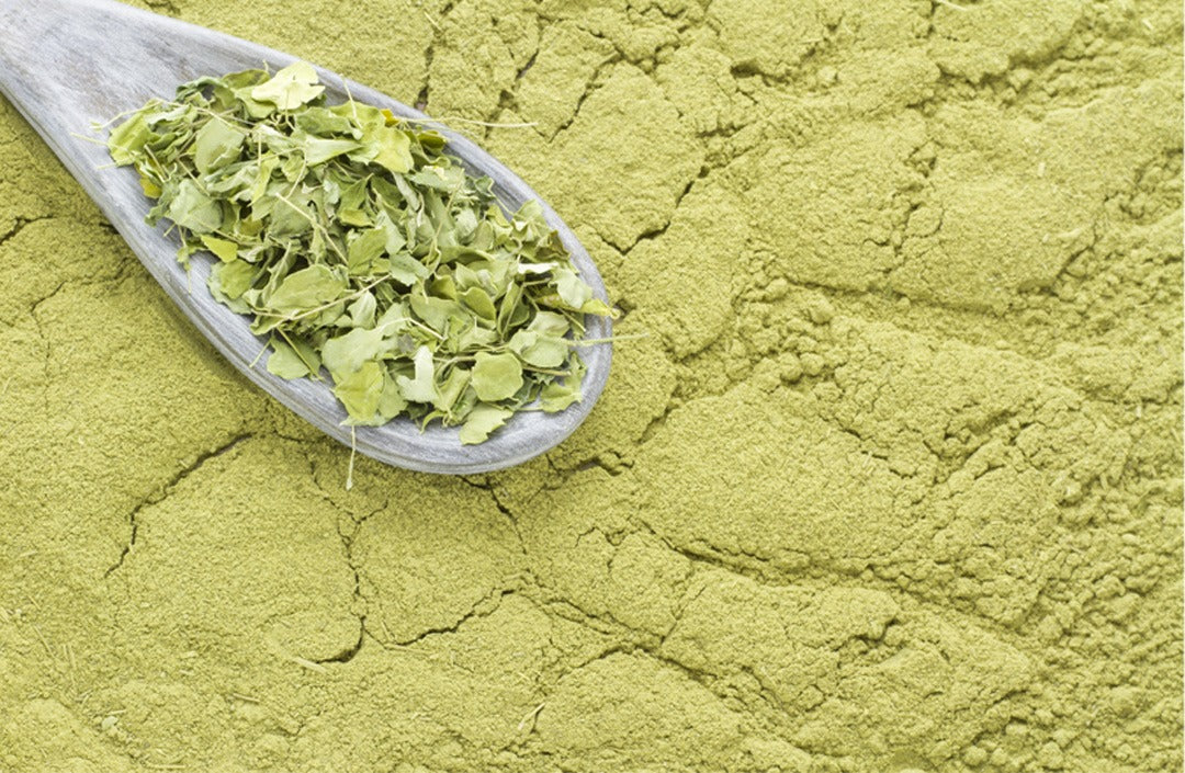 7 Health Benefits of Moringa Powder – Saturn by GHC