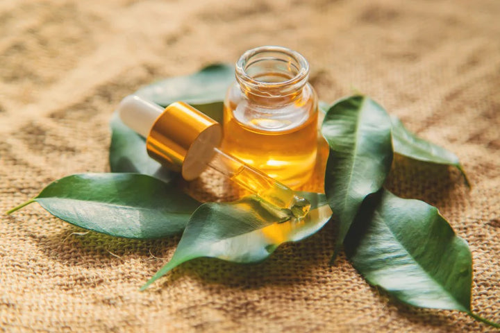 Oil in bottle and leaves | tea tree oil benefits for hair