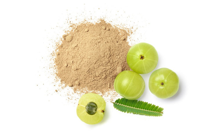 Benefits and uses of amla powder for hair | indian gooseberry powder
