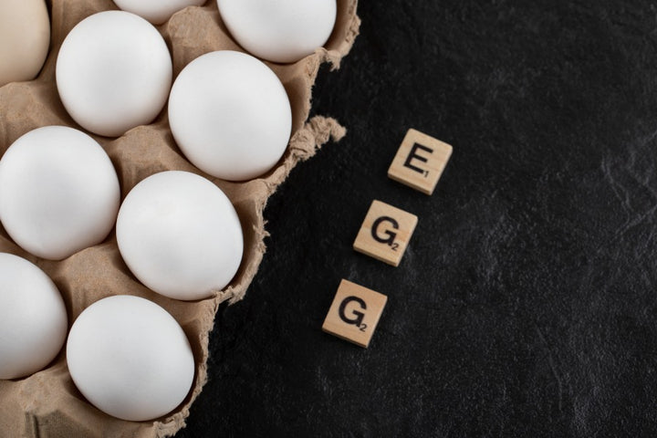eggs | Link Between Eggs & Cholesterol