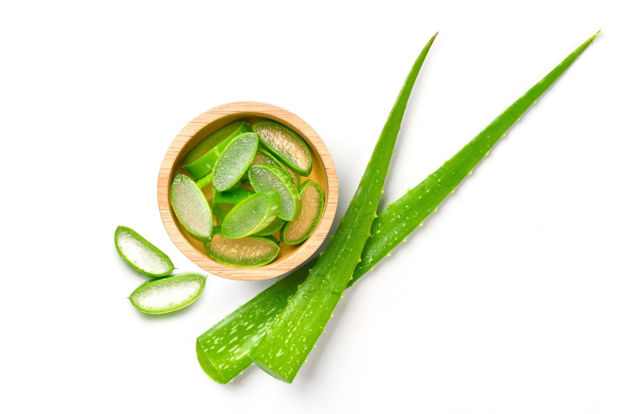 Can Aloe Vera Promote Hair Growth – Saturn by GHC